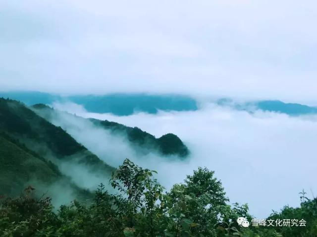 雪峰秘境寻思