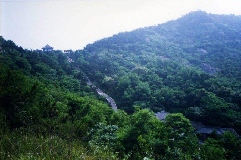 08.jpg
