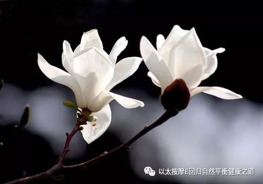微信图片_20180523093233.jpg