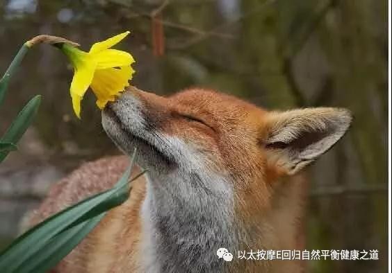 微信图片_20180523093245.jpg