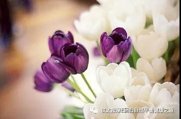 微信图片_20180523093251.jpg