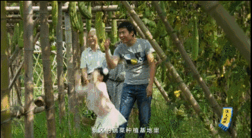 10485563542227.gif
