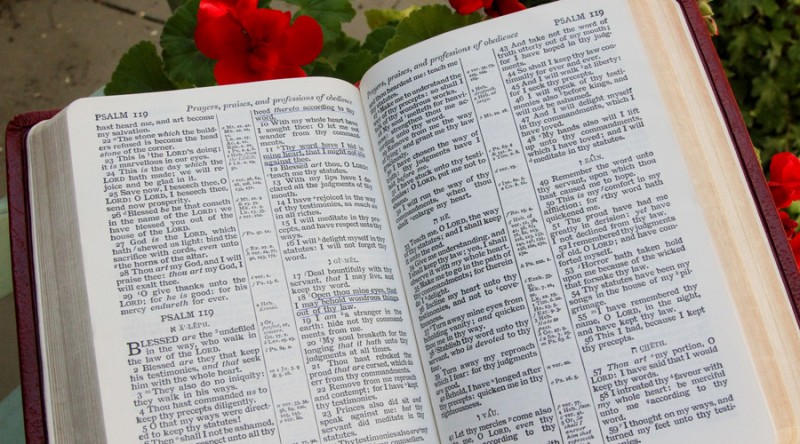 苏州成人英语培训费用