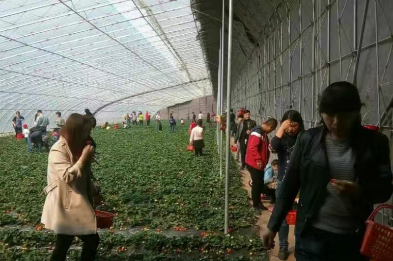 80xiaohuo1.jpg