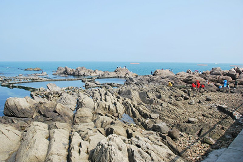 04.jpg