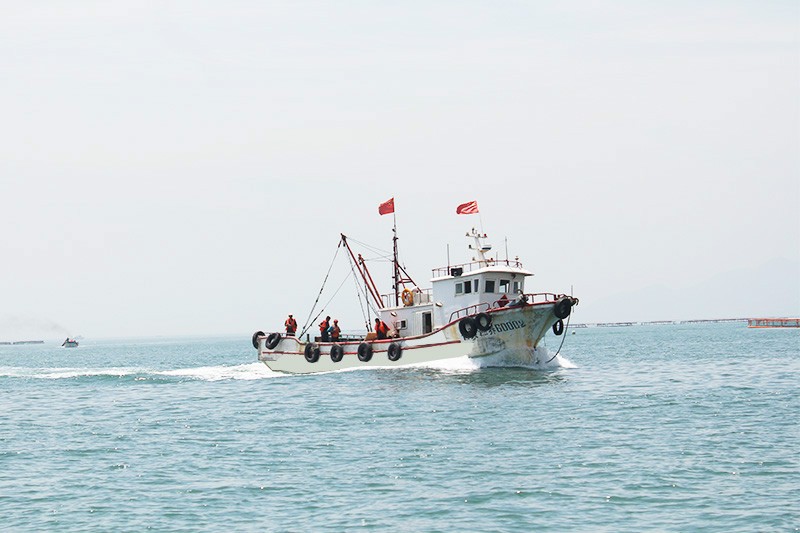 06.jpg