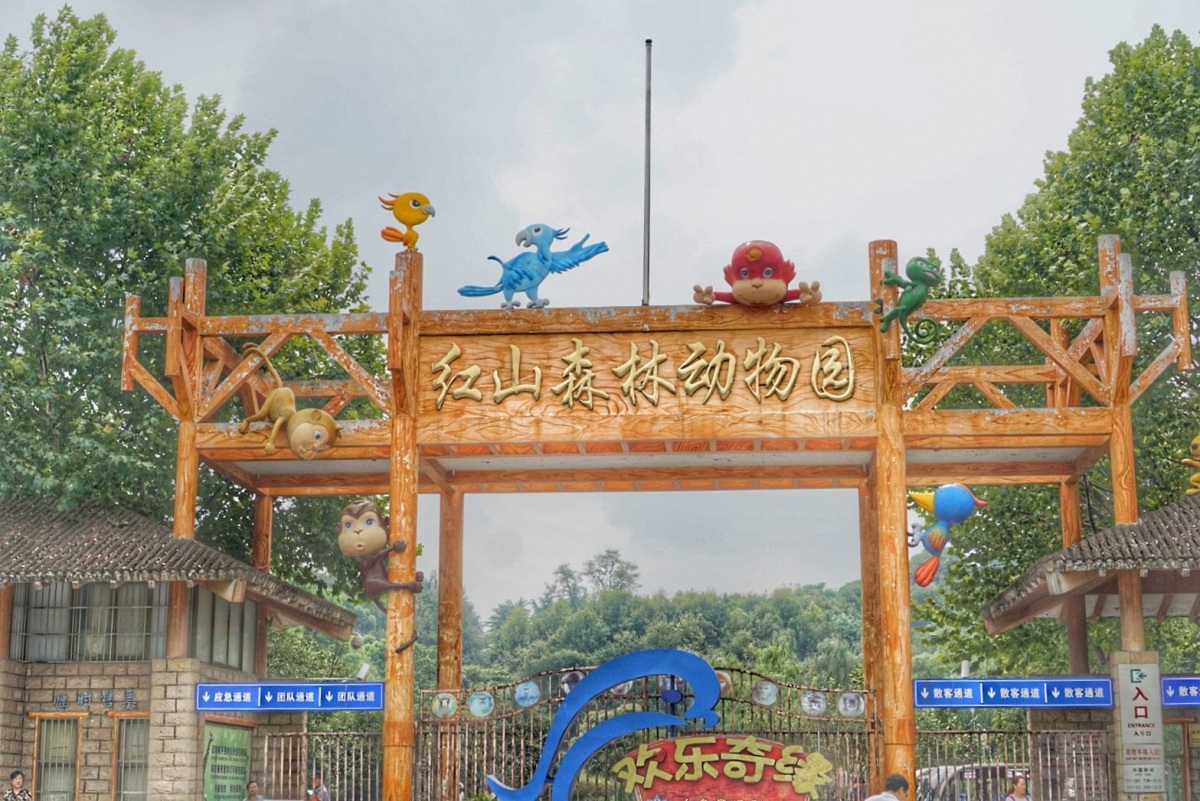 带小朋友们畅玩南京红山动物园