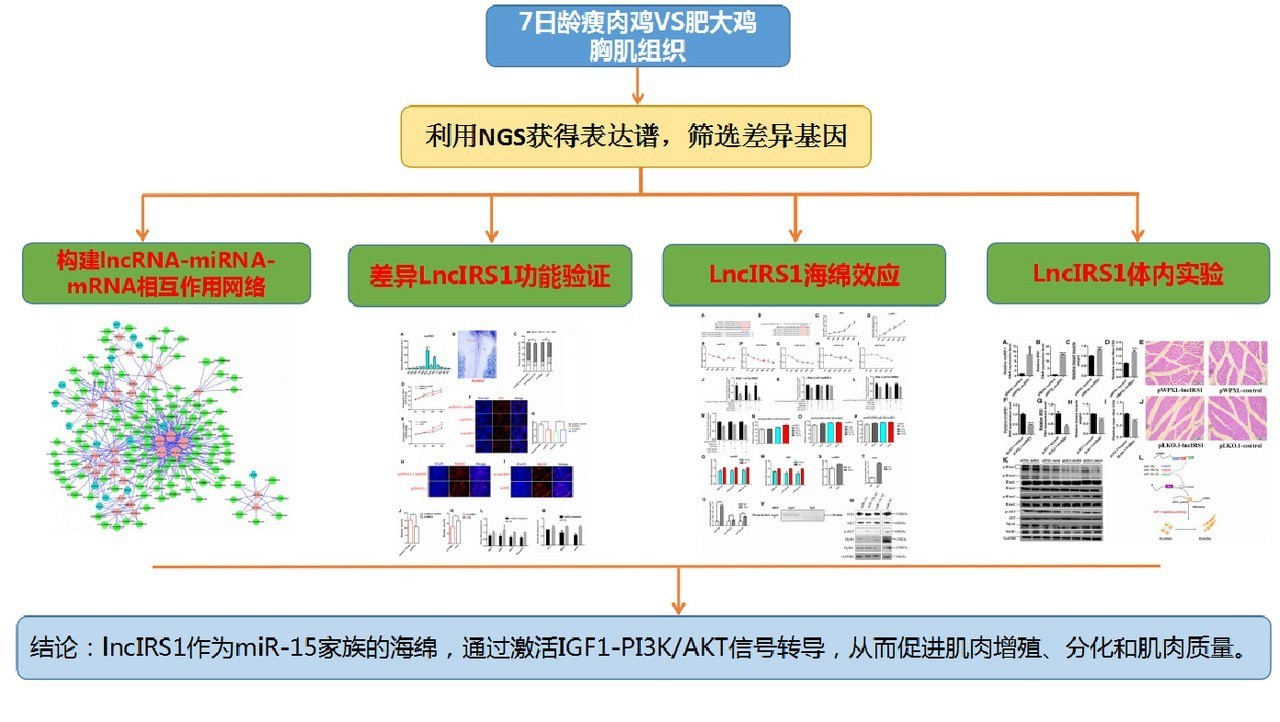 数据挖掘系列主题(3)|那些年不能错过的全转录组挖