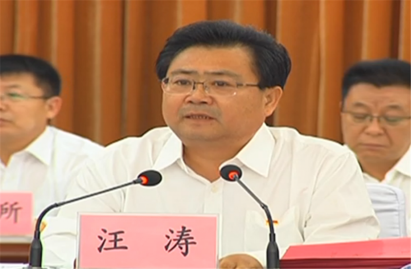 汪涛讲话.png