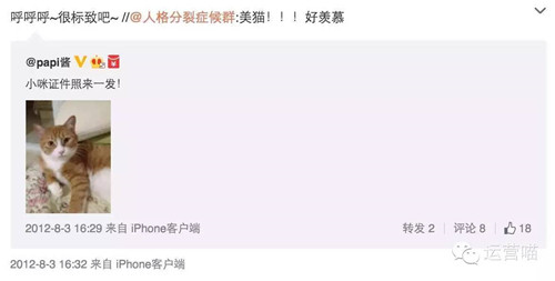 主要發(fā)布內(nèi)容不是搞笑圖片就是喵