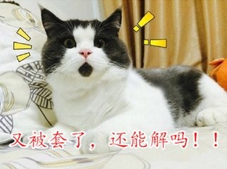 t01d131134bb39ba377.jpg