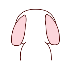 ok2.gif