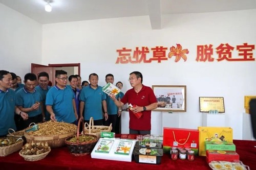 图片7.jpg 图片7.jpg