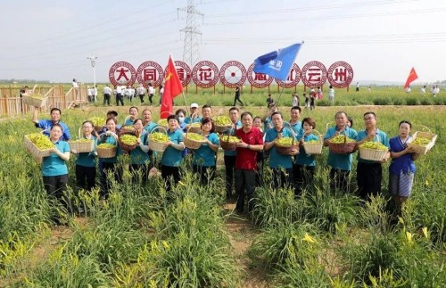 图片5.jpg 图片5.jpg