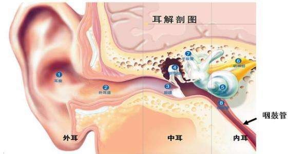 中耳炎1.jpg