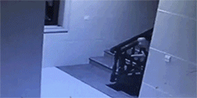 d5f17da3143b6e06de42e51b6890f8b2.gif
