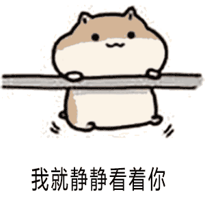 timg.gif