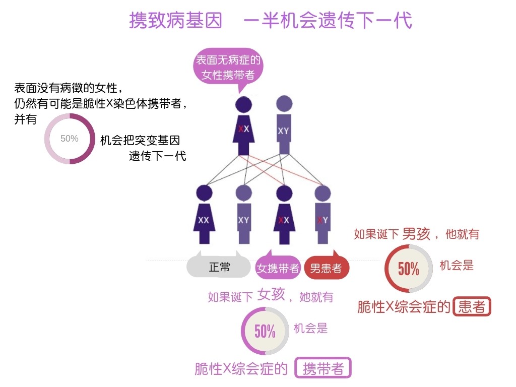 攜帶致病基因 一半機會遺傳下一代（簡）.jpg