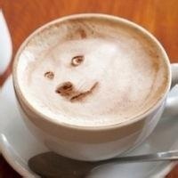 活动作品