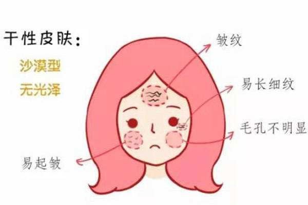 皮肤干燥该怎么护理？造成干性皮肤的原因有哪些？ - 嘉悦国际