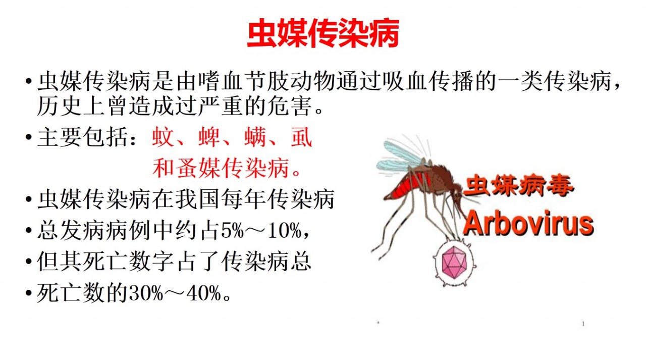 幻灯片2.JPG