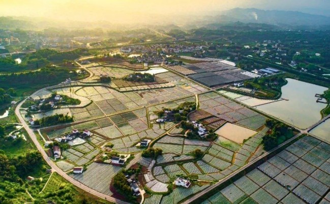 泸州市江阳区董允坝伞乡景区.jpg