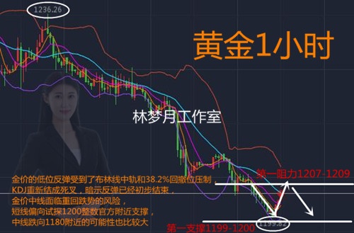 QQ截图20180808164453_副本.jpg