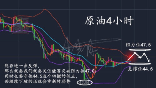 QQ截图20181231160443_副本_副本.jpg