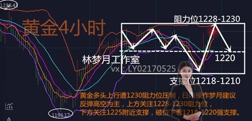 O48ud5jN_tgmp_副本.jpg