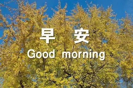 7ca236800a3bff2b6f1c2e8fa344c086.png