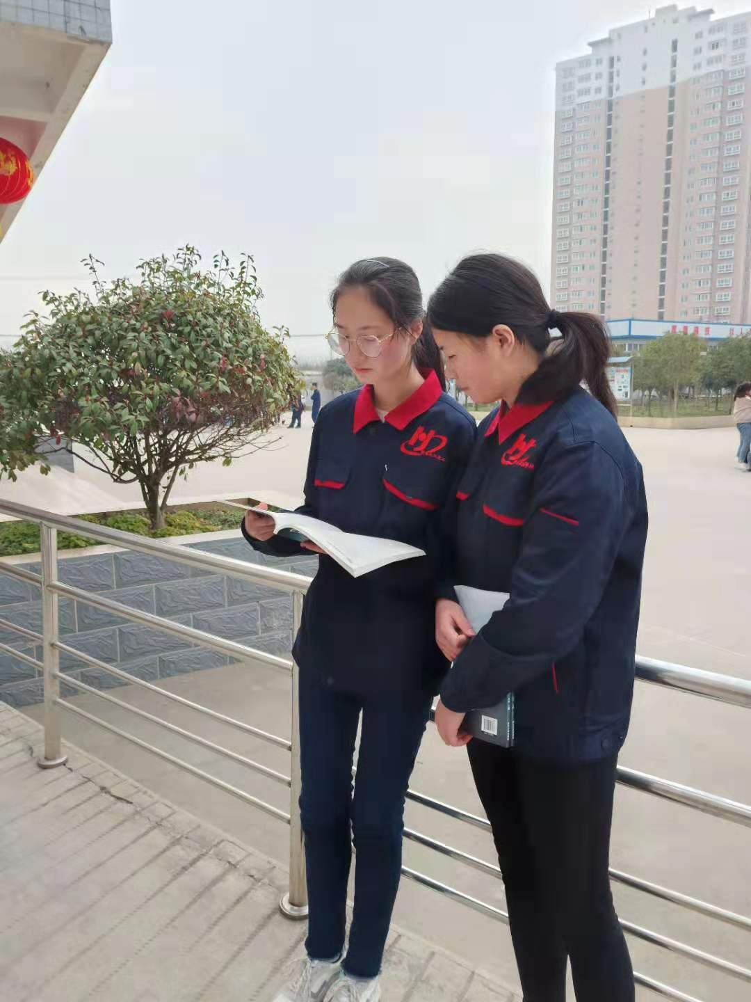 微信图片_201902241310151.jpg