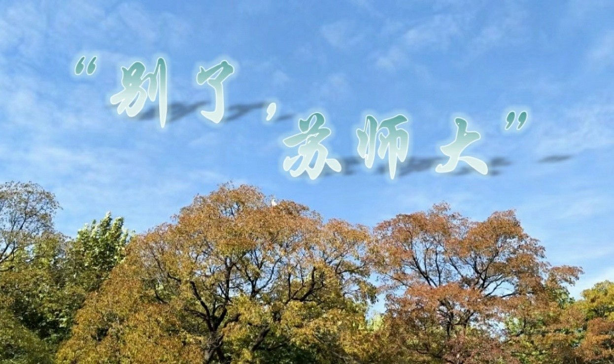 活动作品
