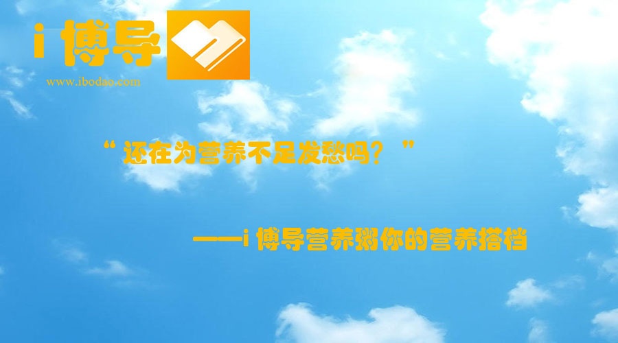 活动作品