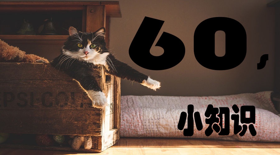 活动作品