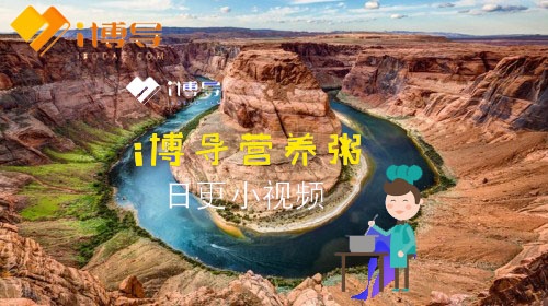 活动作品