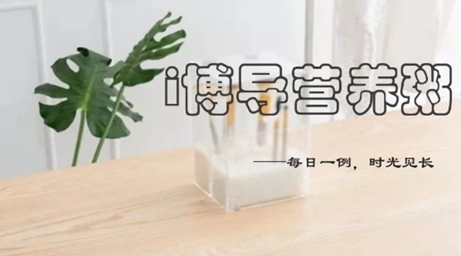 活动作品
