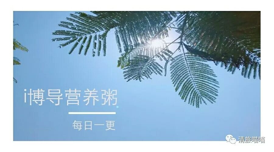 活动作品
