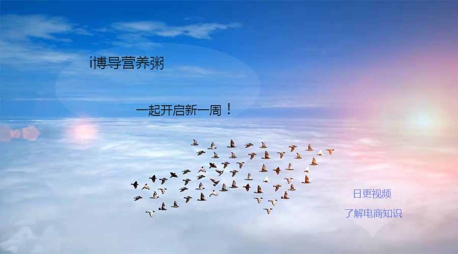 活动作品