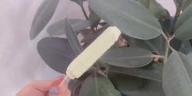 BTR0008[00_00_00--00_00_20].gif