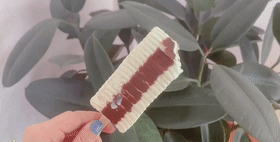 BTR0004[00_00_00--00_00_20].gif