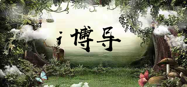 活动作品