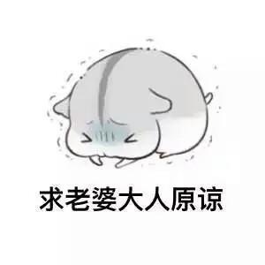 u=1806078377,1160935318&fm=27&gp=0.jpg