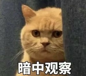 暗中.jpg
