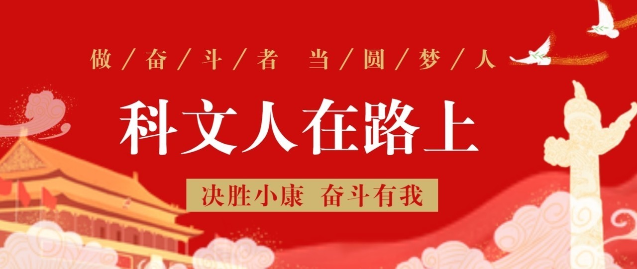 活动作品