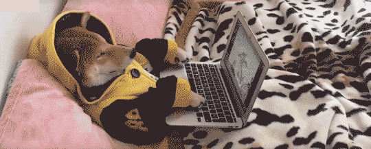 timg (5).gif