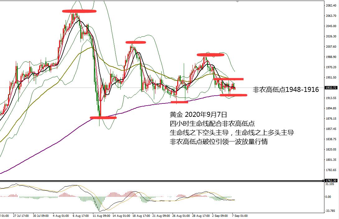 0907黄金.jpg