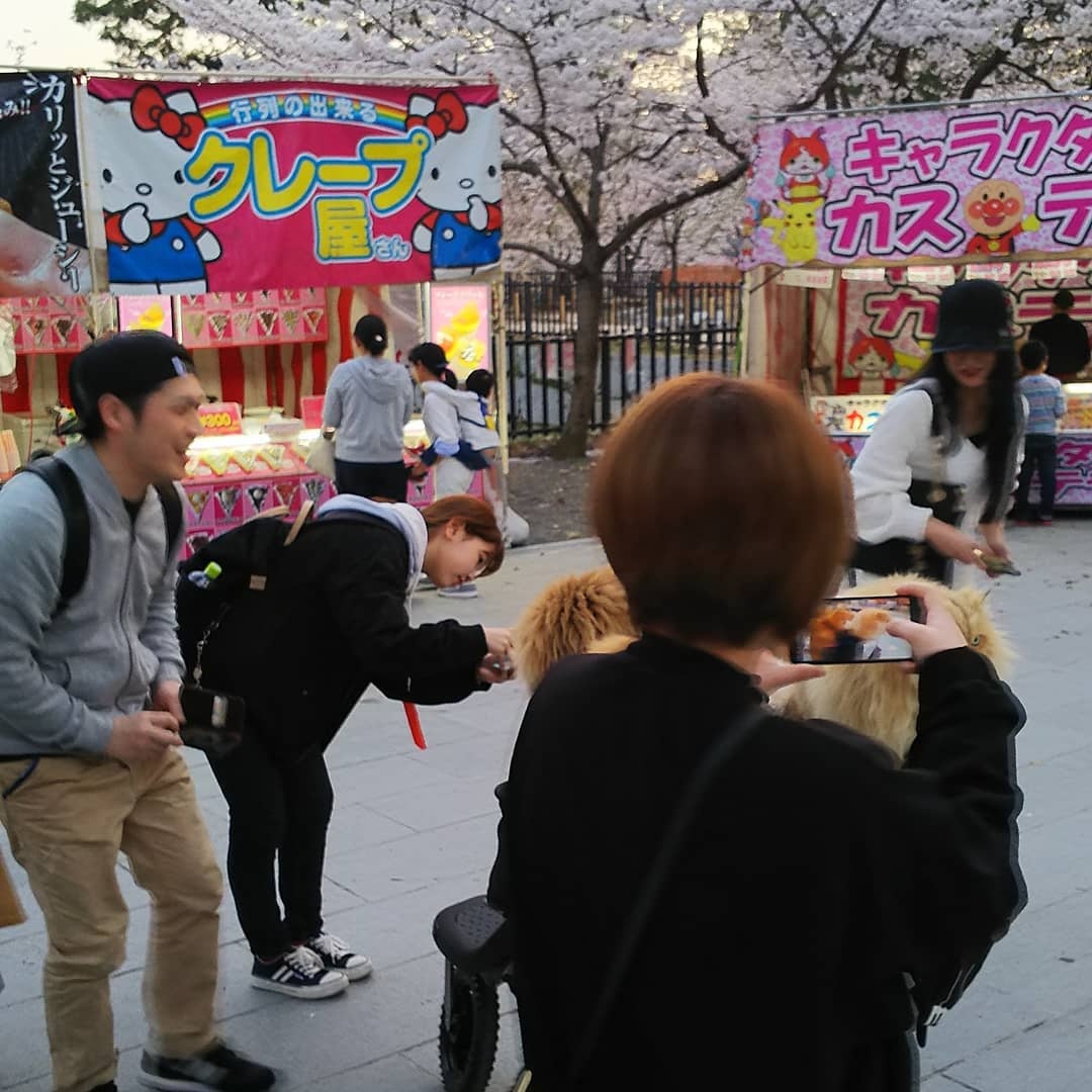 neko.ojisan22877_29096259_107364953444858_2830160552146239488_n.jpg