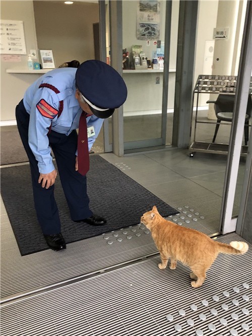 DqjNAnpWkAEzf6B.jpg