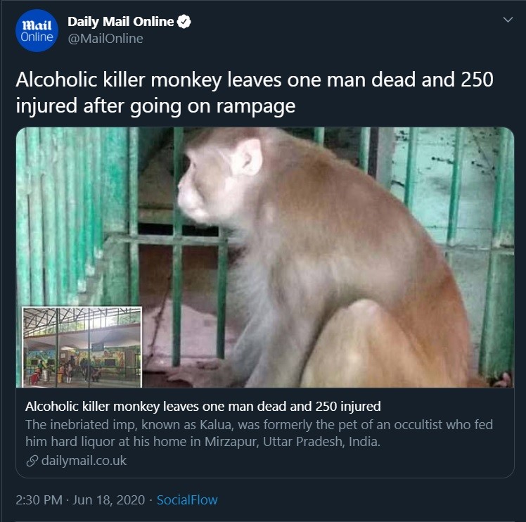 cY1W0DW.jpg