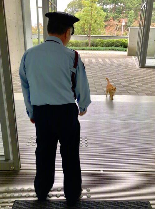 微信截图_20200602151103.jpg
